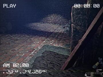 Image: 13080957