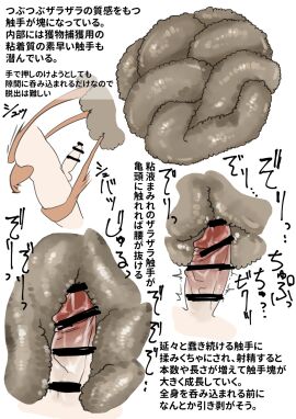 Image: 8992346