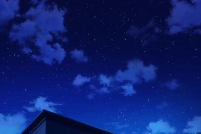 Image: 13119206