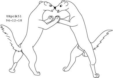 Image: 13012036