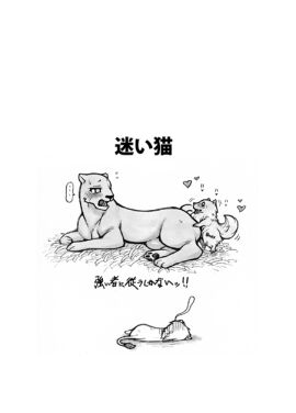 Image: 11129613