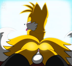 Image: 3216564