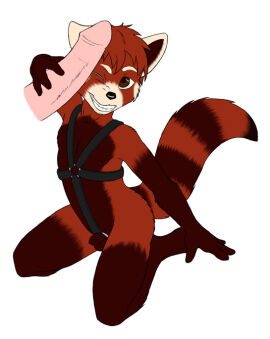 Image: 3129359