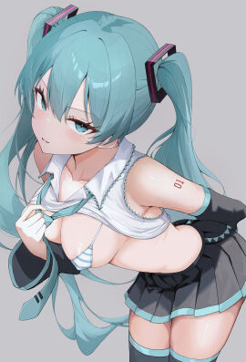 Image: 12823905
