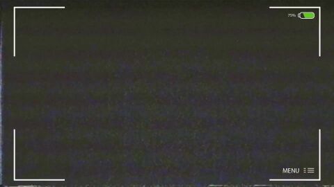 Image: 13070294