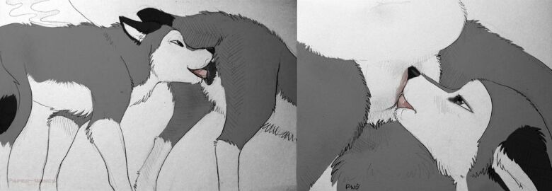 Image: 357011