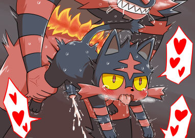 Image: 731911