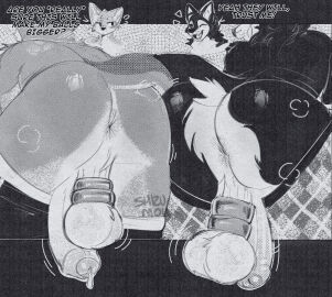 Image: 12488513
