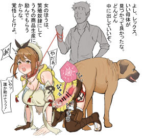 Image: 9709518