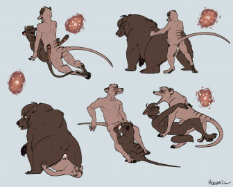 Image: 5220081