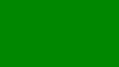 Image: 8097636