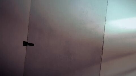 Image: 13112295