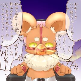 Image: 3702524
