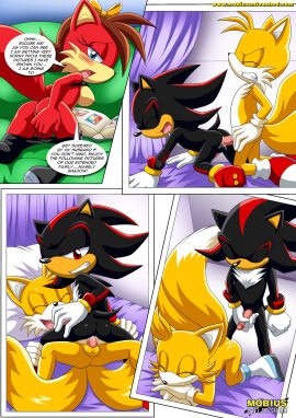 Image: 331801