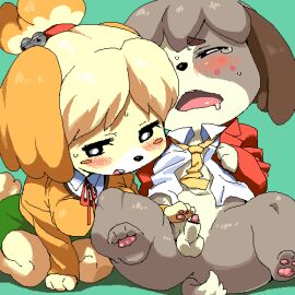 Image: 481738