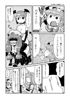 Image: 304876