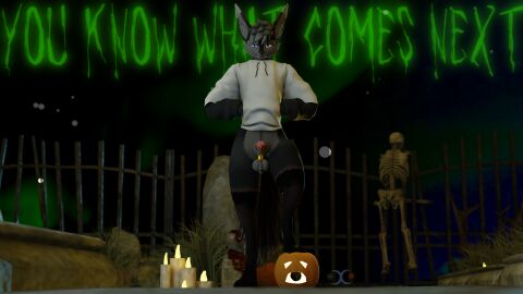 Image: 10713021