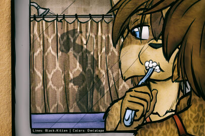 Image: 4791995
