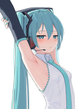 Image: 12561172