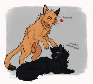 Image: 12449558