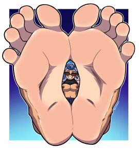 Image: 11303040