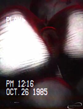 Image: 13111483