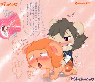 Image: 4416469