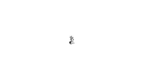 Image: 3531183