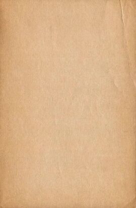 Image: 13042396