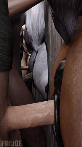 Image: 12216088