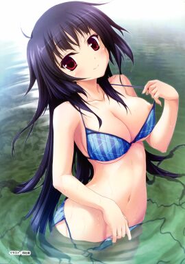 Image: 691684
