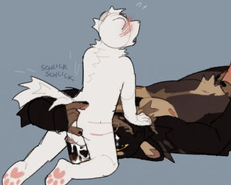 Image: 12546035