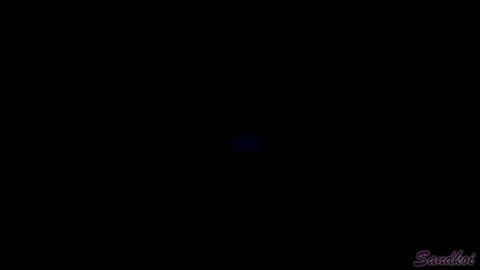Image: 9534893