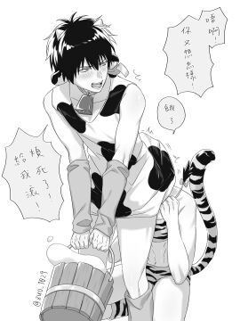 Image: 12489373