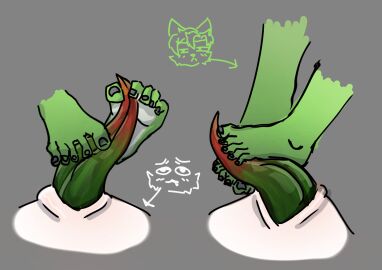 Image: 12659886
