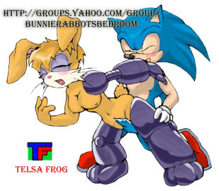 Image: 360538