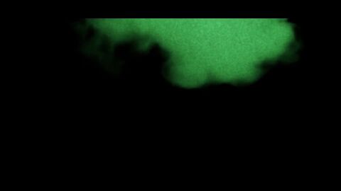 Image: 8519975