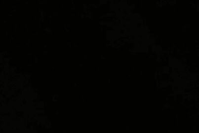 Image: 8117496