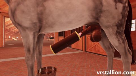Image: 13067203