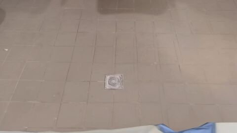 Image: 13106630