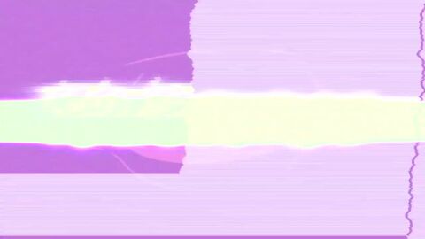 Image: 13050530