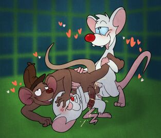 Image: 8728009