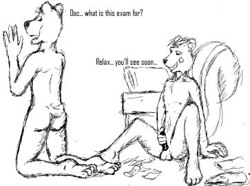 Image: 2886142