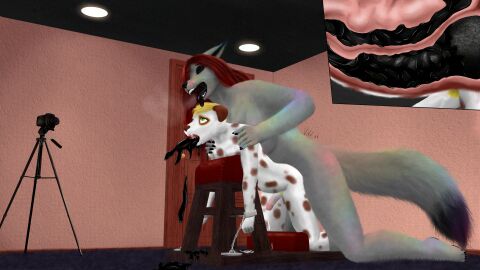 Image: 11844664