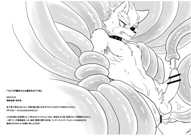 Image: 802668
