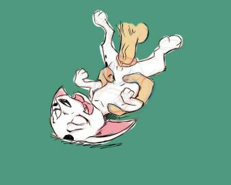 Image: 962749