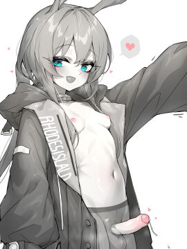 Image: 11329492
