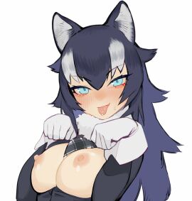 Image: 3513982