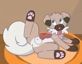 Image: 12788500
