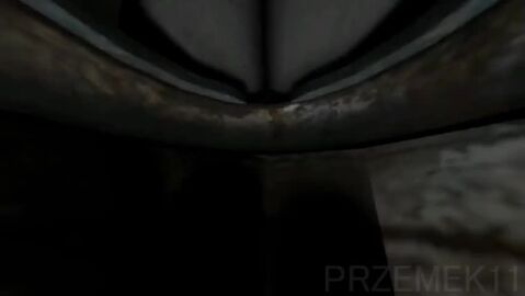 Image: 13050581